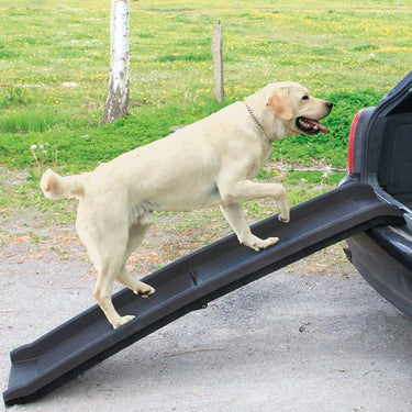 Flamingo Gentle Step Car Dog Ramp -